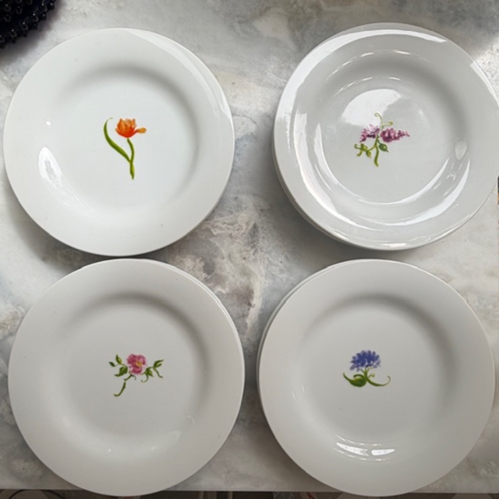 Set of 12 Pottery Barn Bloom Dessert or Salad Plates - 8 3/8 in